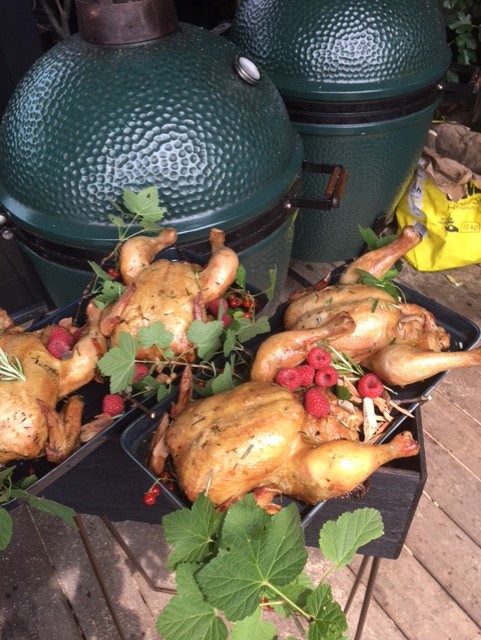 Chicken and Green Eggs